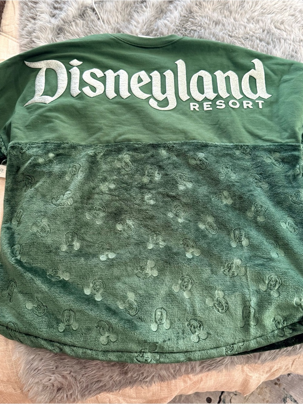 Disneyland resort winter holiday spirit jersey